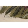 Engraving entitled ‘The Sunset of the Starlings’, signed HAINARD