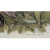 Engraving entitled ‘The Sunset of the Starlings’, signed HAINARD