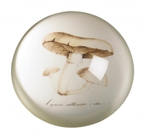 Presse-papier Champignons