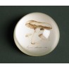 Presse-papier Champignons
