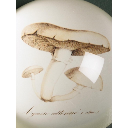Presse-papier Champignons