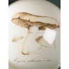 Presse-papier Champignons