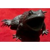 Grenouille en bronze