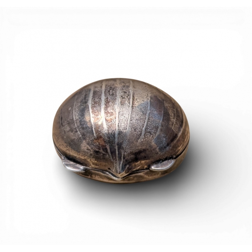 Petite boite Châtaigne en argent 800