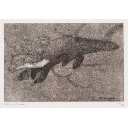 Engraving entitled ‘Weasel’, signed HAINARD