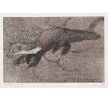 Gravure "Fouine" signée HAINARD