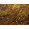 Tableau \"A l\'écurie\" signé KÜBLER L