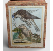 Gravure "Faucon gentil" par Magdalena BOUCHARD