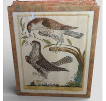 Gravure "Esmerillon" par Magdalena BOUCHARD