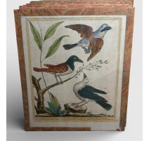 Gravure "Pie-griesche" par Magdalena BOUCHARD