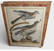 Gravure "Eperviers" par Magdalena BOUCHARD