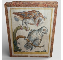 Gravure "Petit chathuant" par Magdalena BOUCHARD (