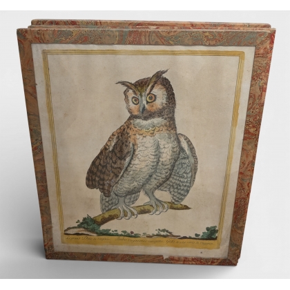 Gravure "Grand Duc" par Magdalena BOUCHARD