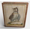 Gravure "Grand Duc" par Magdalena BOUCHARD