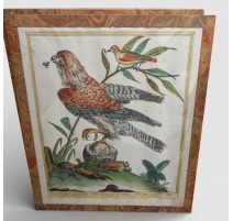 Gravure "Faucon" par Magdalena BOUCHARD