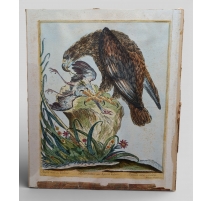 Gravure "Aigle noir" par Magdalena BOUCHARD