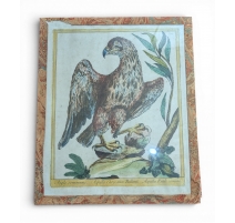 Gravure "Aigle" par Magdalena BOUCHARD