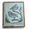 Engraving entitled ‘Owls’ by Magdalena BOUCHARD