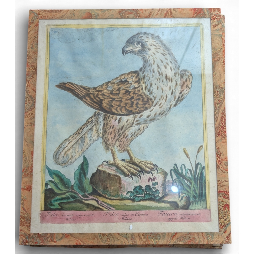 Gravure "Milan" par Magdalena BOUCHARD