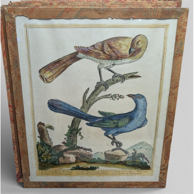 Gravure "Coucou" par Magdalena BOUCHARD