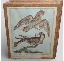 Gravure "Tette chèvre" par Magdalena BOUCHARD