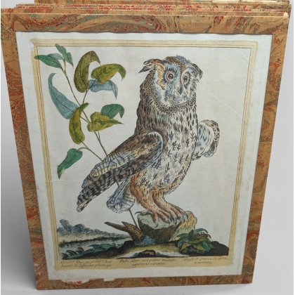 Gravure "Grand Duc" par Magdalena BOUCHARD