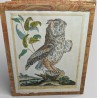 Gravure "Grand Duc" par Magdalena BOUCHARD