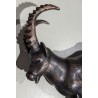 Bronze "Bouquetin des alpes" signé GICÉ 95