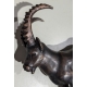 Bronze "Bouquetin des alpes" signé GICÉ 95