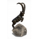 Bouquetin en bronze signé REUSSNER