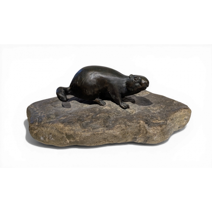 Marmotte en bronze signé REUSSNER
