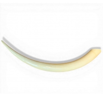 Défense d'éléphant