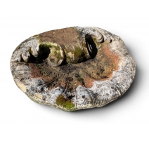 Vasque Coquillage en pierre de Vicenza