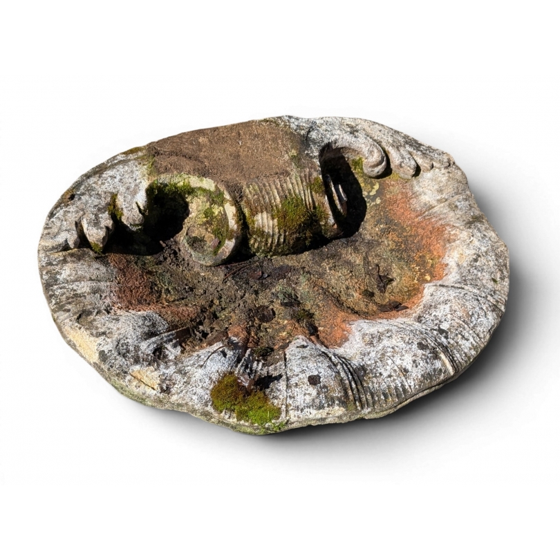 Vasque Coquillage en pierre de Vicenza