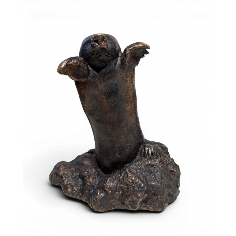 Bronze \"Taupe\" signé GICÉ 97