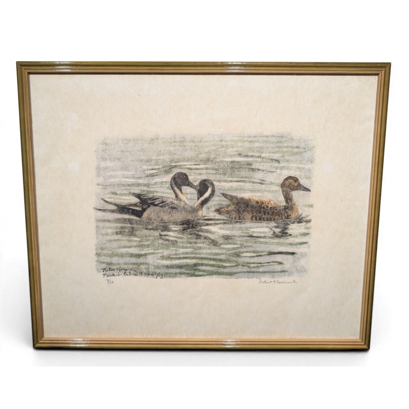 Gravure "Canards pilets" signée HAINARD
