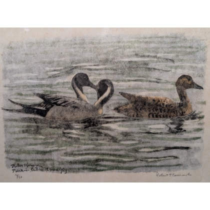 Gravure "Canards pilets" signée HAINARD