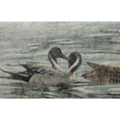 Gravure "Canards pilets" signée HAINARD