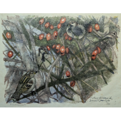 Gravure "Moineaux dans l'églantier" signée HAINARD