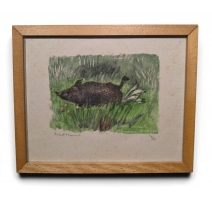 Gravure "Sanglier dans les joncs" signée HAINARD
