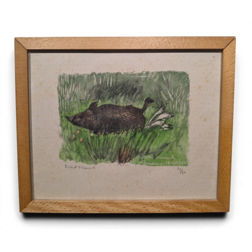 Gravure "Sanglier dans les joncs" signée HAINARD