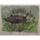 Gravure "Sanglier dans les joncs" signée HAINARD