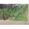 Gravure "Sanglier dans les joncs" signée HAINARD