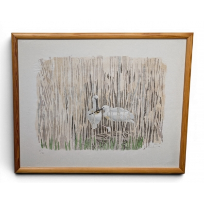 Lithographie \"Nid de Spatules\" signée C. STERN 93