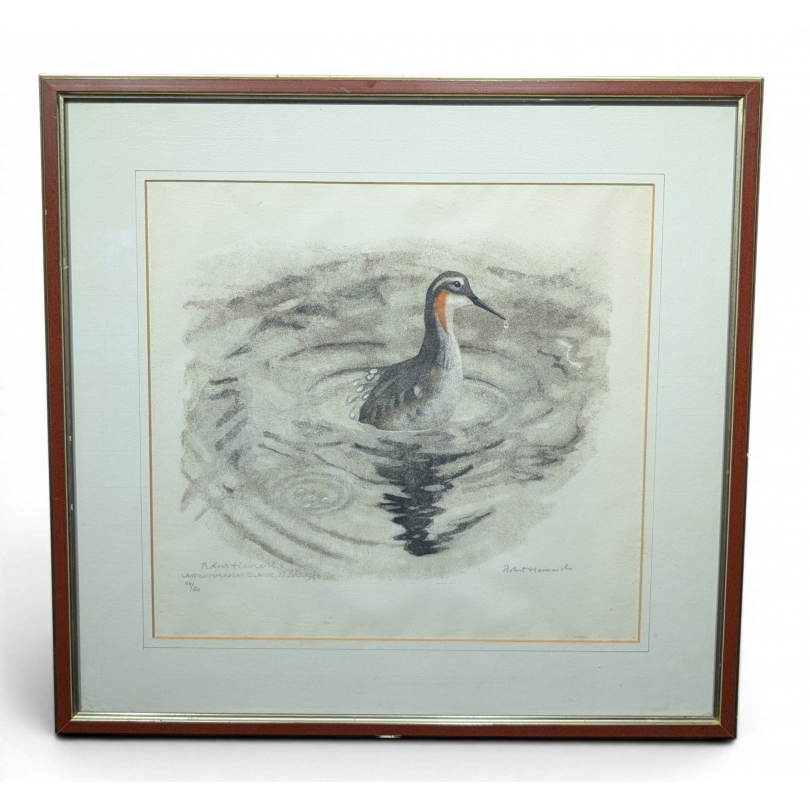 Gravure "Phalarope" signée HAINARD