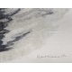 Gravure "Phalarope" signée HAINARD