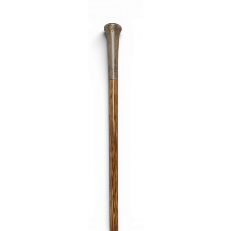 Canne de Lord à pommeau en argent
