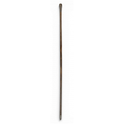 Canne de Lord à pommeau en argent