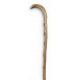 Baton de berger en ronce