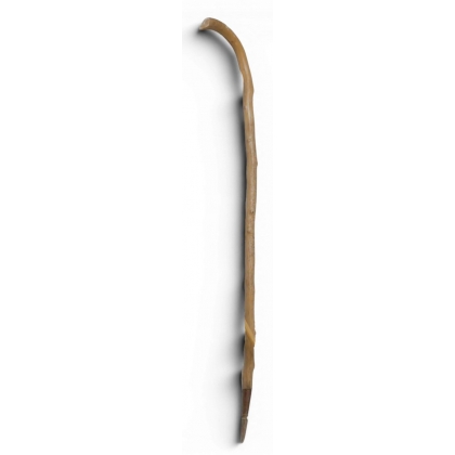 Baton de berger en ronce